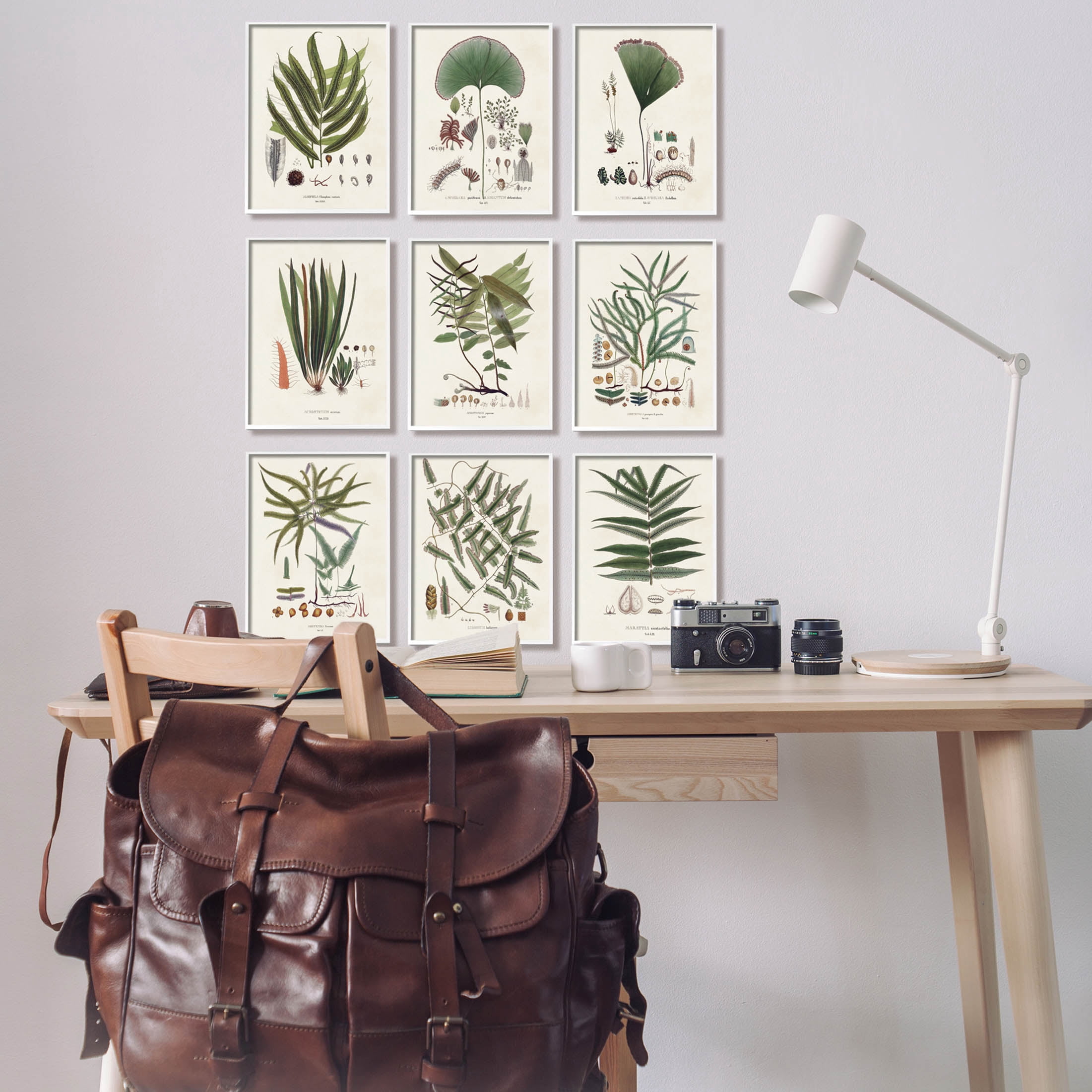 Stupell Industries Antique Leaves Vintage Studies Graphic Art White Framed Art Print Wall Art, Set of 9, Design by Vision Studio