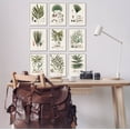 thumbnail image 2 of Stupell Industries Antique Leaves Vintage Studies Graphic Art White Framed Art Print Wall Art, Set of 9, Design by Vision Studio, 2 of 7