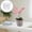 White, variant on Clearance! Soovim Flower Pots Indoor Plant Pots 5 Inch Plastic Phalaenopsis Planter Clear Orchid Planter Root Control with Hole Basin and Tray