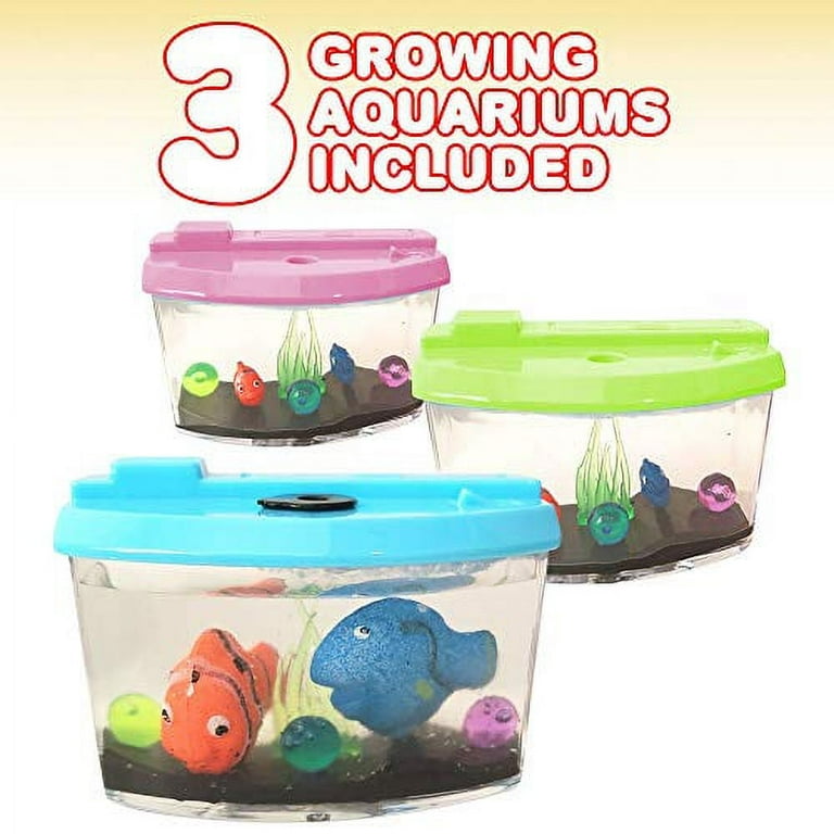 ArtCreativity Small Plastic Aquariums for Kids, Set of 4, Single Fish  Aquariums in Assorted Vibrant Colors, Under-The-Sea Party Favors, Aquatic  Party