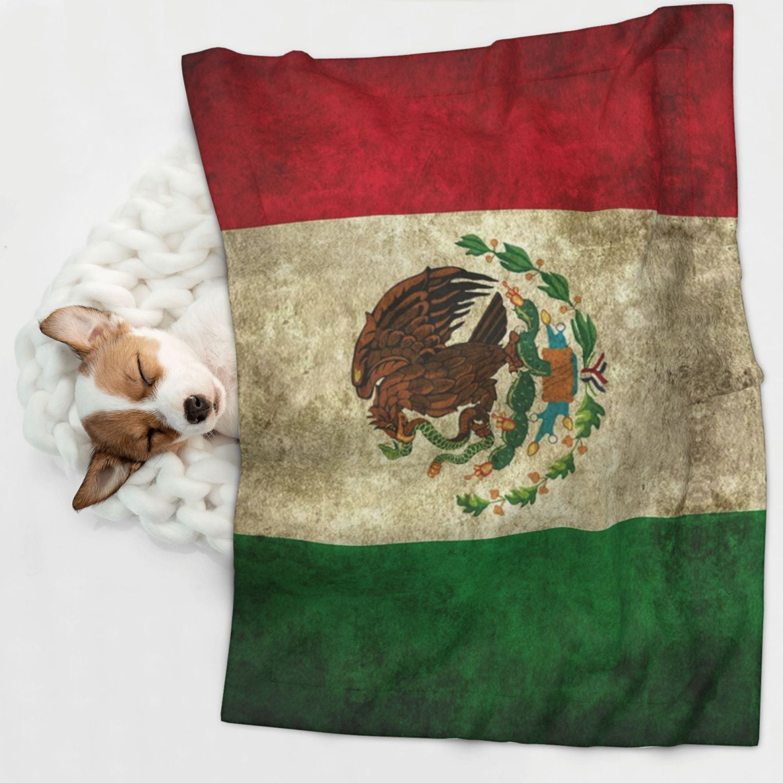 Retro-Mexico-Sacred Flag Dog Blanket Soft Warm Flannel Cat Blanket Great Pet Throw for Cats Puppy Small Medium Large Dog