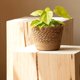 thumbnail image 4 of Typpkmm Straw Weaving Flower Plant Pot with Wicker Basket Rattan Flowerpot, 4 of 7