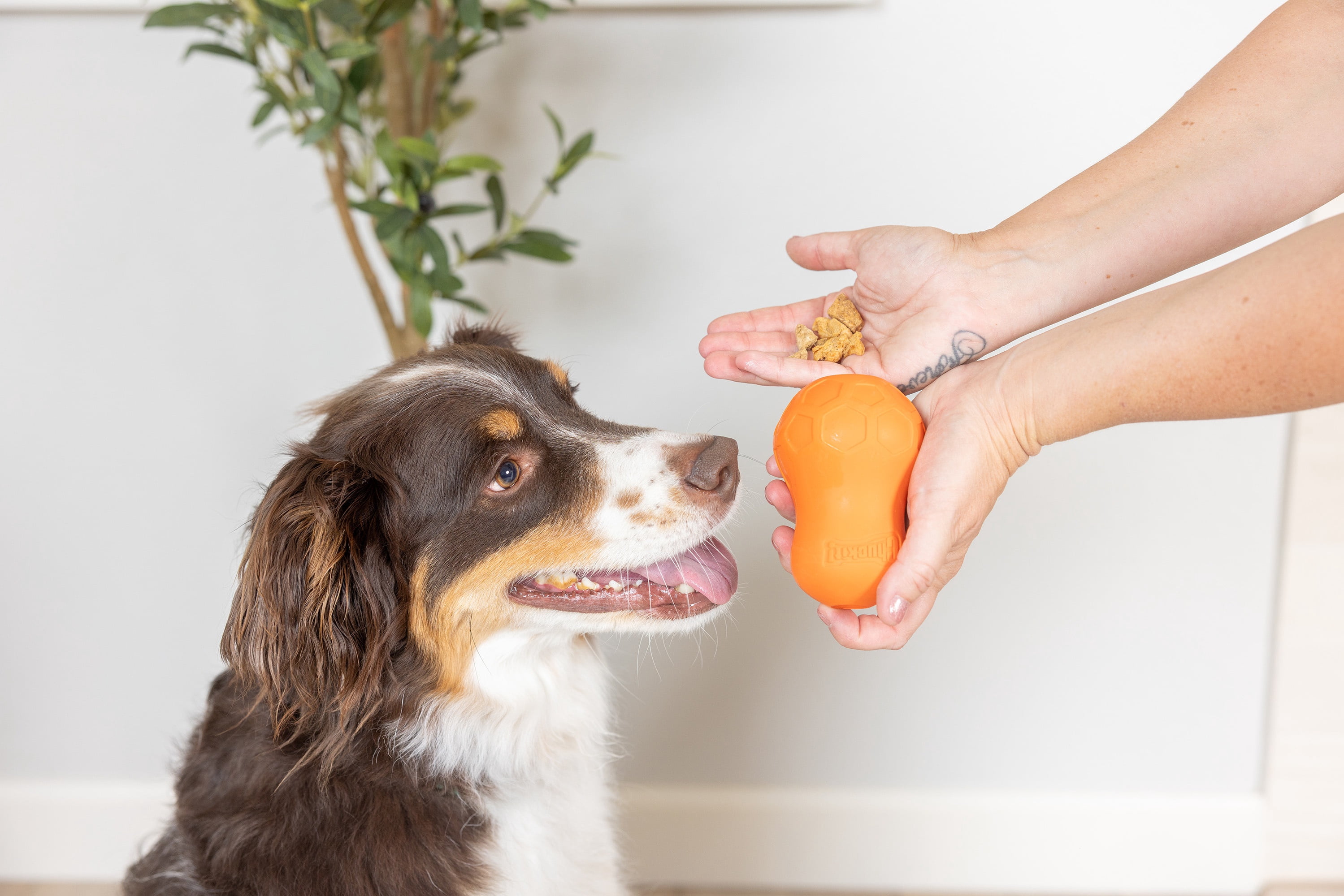 Chuckit! Tumble Teez Dog Treat Puzzle Toy, Medium, Orange – Treat & Chew Puzzle Pod for Dogs 20–60 lb, Pack of 1