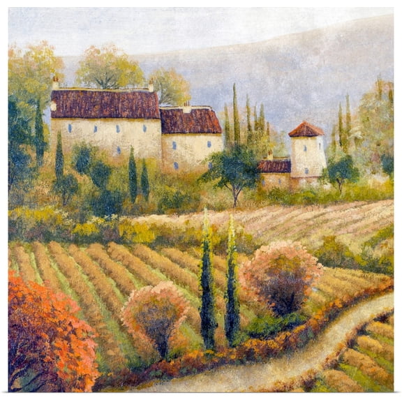 Great BIG Canvas | Rolled Michael Marcon Poster Print entitled Tuscany Vineyard I