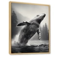 thumbnail image 2 of Designart "Alaska Grand Cetacean" Animals Floater Framed Wall Art Living Room, 2 of 7