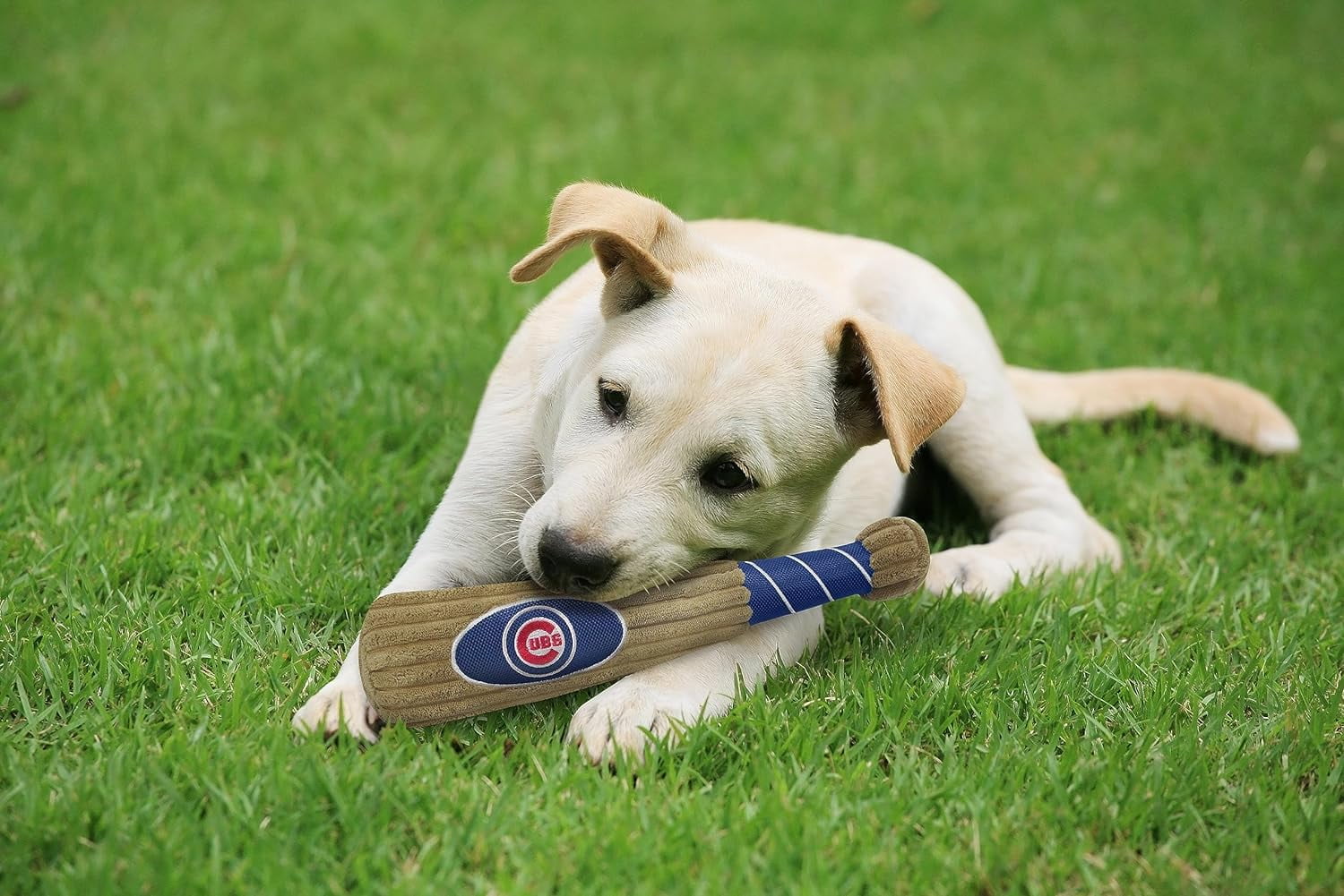 mlb chicago cubs bat toy for dogs & cats. 29 mlb teams available. - plush pet toy with inner squeaker. officially licensed baseball bat.
