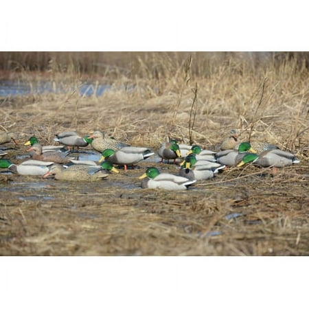 GHG Decoy Systems Pro-Grade Mallard Duck Decoys with Flocked Heads - 12 Pack
