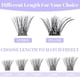 thumbnail image 3 of Pestañas individuales en diferentes longitudes y estilos negro mo negro, 3 of 5
