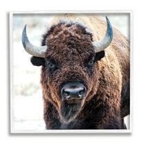 Stupell Industries American Bison Photography Animals & Insects Photography White Framed Art Print Wall Art, 24 x 24