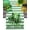 St. Patricks Day1904, variant on St. Patricks Day Table Runner 13x90 Inches Long Green Clover Hat Runner for Table Green White Stripe Table Runners Cotton Linen Dresser Scarf for Kitchen Coffee Dining Spring Holiday Party Decor