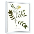 thumbnail image 3 of Ancient Botanicals XVIII 12 in x 20 in Framed Painting Canvas Art Print, by Designart, 3 of 5