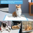 thumbnail image 6 of Dog Pee Pads Extra Large ,XL Thicken 6 Layers Puppy Pads, Ultra Absorbent Pee Pads Training Pads, Leak-Proof Quick-Dry Pet Pads Disposable Potty Pads for Dogs Puppy Pads, 6 of 7