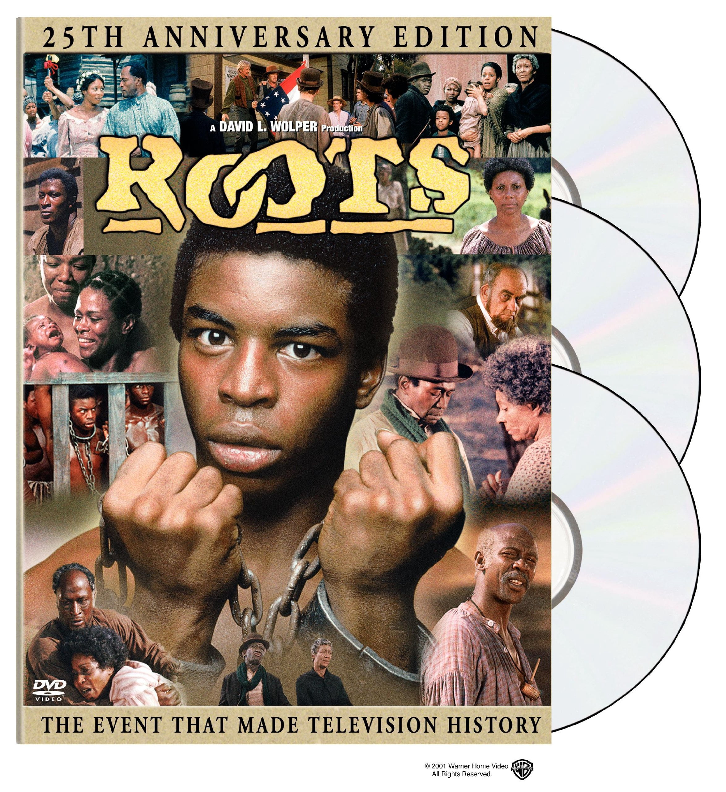 Warner Home Video: Roots TV Show Series Full Seasons - Complete