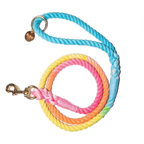 Glow Pups Dog Leash 5 Foot Cotton Rainbow Adjustable Dog Standard Leash, Rainbow Ombre