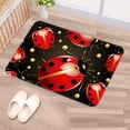 thumbnail image 5 of Ladybird Polyester Non-Slip Machine Washable Indoor Rug Floor Mat Chair Rug, 5 of 6