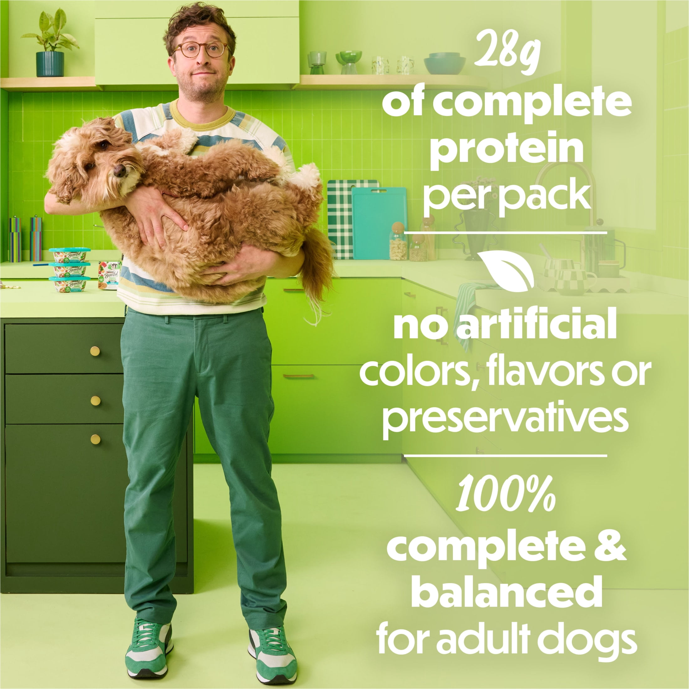 Purina Beneful Dog Food Freshly Prepared Meals Beef and Chicken Medley with Green Beans Carrots and Wild Rice, 10 oz, 8 Pack