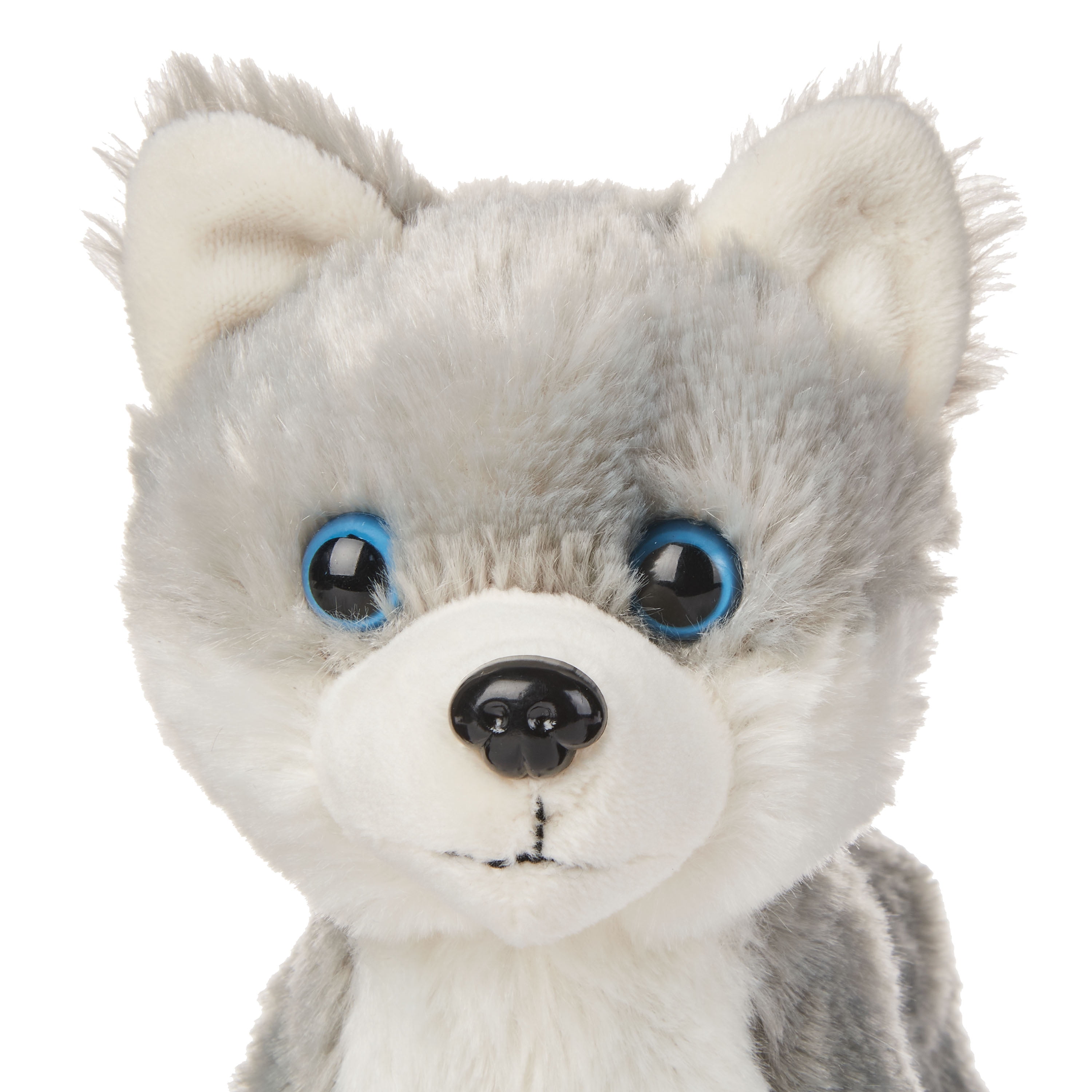 kid connection walking pet husky