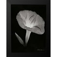 thumbnail image 2 of Geyman, Vitaly 14x18 Black Modern Framed Museum Art Print Titled - Morning Glory I, 2 of 5