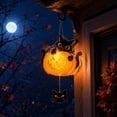 thumbnail image 4 of Tuvgenk Battery garden lights outdoor Cat, Pumpkin Landscape Light LED Plastic Multicolor, 4 of 7