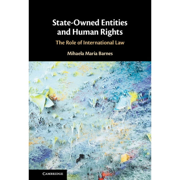 State-Owned Entities and Human Rights, (Hardcover)