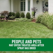 Roundup For Lawns1 Refill (Northern), 1.25 gal.