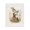 Mothers Love Rabbits, variant on Stupell Industries Nursery Bunny in Meadow Black Framed Floater Canvas Wall Art, design by Arlington Prints