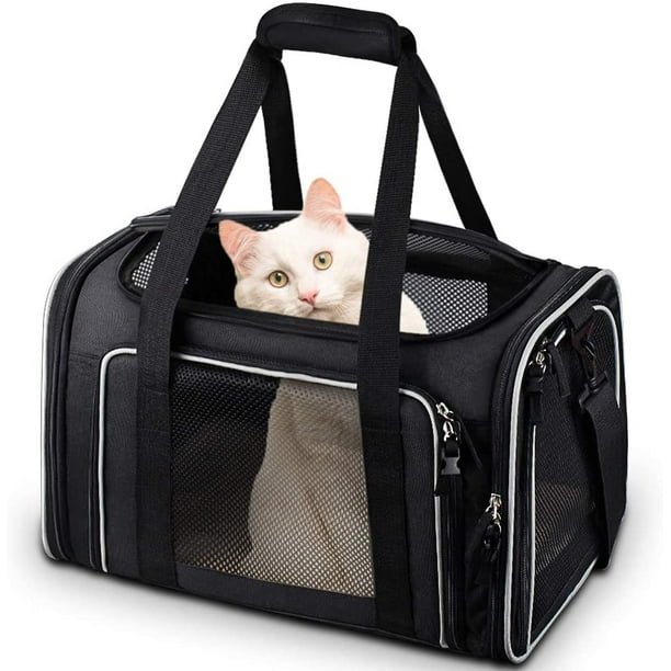 Pet valu cat carrier sale