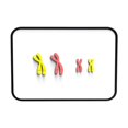 thumbnail image 1 of lionlar Chromosome Changes Model Biological Science Teaching Aids for School Student Red Yellow, 1 of 9