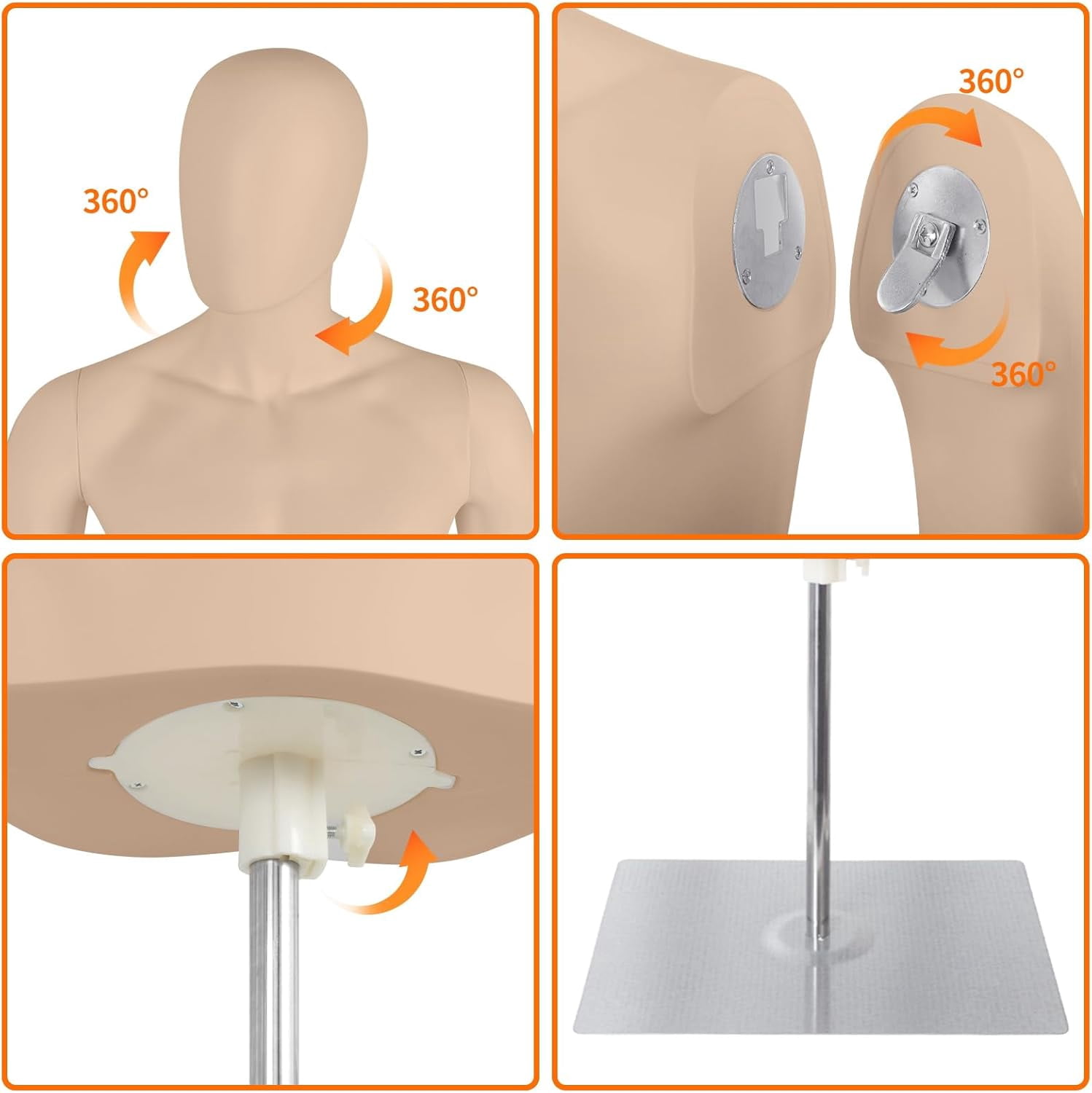 FreeLung Male Half Body Mannequin Torso with Stand, Adjustable Height 32" - 48", Complexion