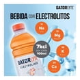 thumbnail image 3 of Bebida hidratante Gatorlyte sabor naranja 591 ml, 3 of 4