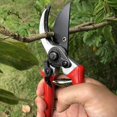 thumbnail image 4 of 8" Professional Sharp Bypass Pruning Shears (GPPS-1002), Tree Trimmers Secateurs,Hand Pruner, Garden Shears,Clippers For The Garden, Bonsai Scissors, Loppers, 4 of 7