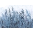 thumbnail image 2 of Landscape Wallpaper Wall Mural - Tall Grasses Grey, 2 of 5