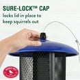 thumbnail image 5 of Perky-Pet Blue Large Dual Mesh Wild Bird Tube Seed Feeder - 8 lb. Capacity, 5 of 11