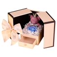 thumbnail image 2 of Fiudx Caja de Regalo de Rosa Eterna, Exquisito Diseño de Doble Puerta, Flor Brillante y Duradera, Almacenamiento Multifuncional de Joyas, Regalo de San Valentín, Elegante Decoración Del Hogar, con Ca, 2 of 6