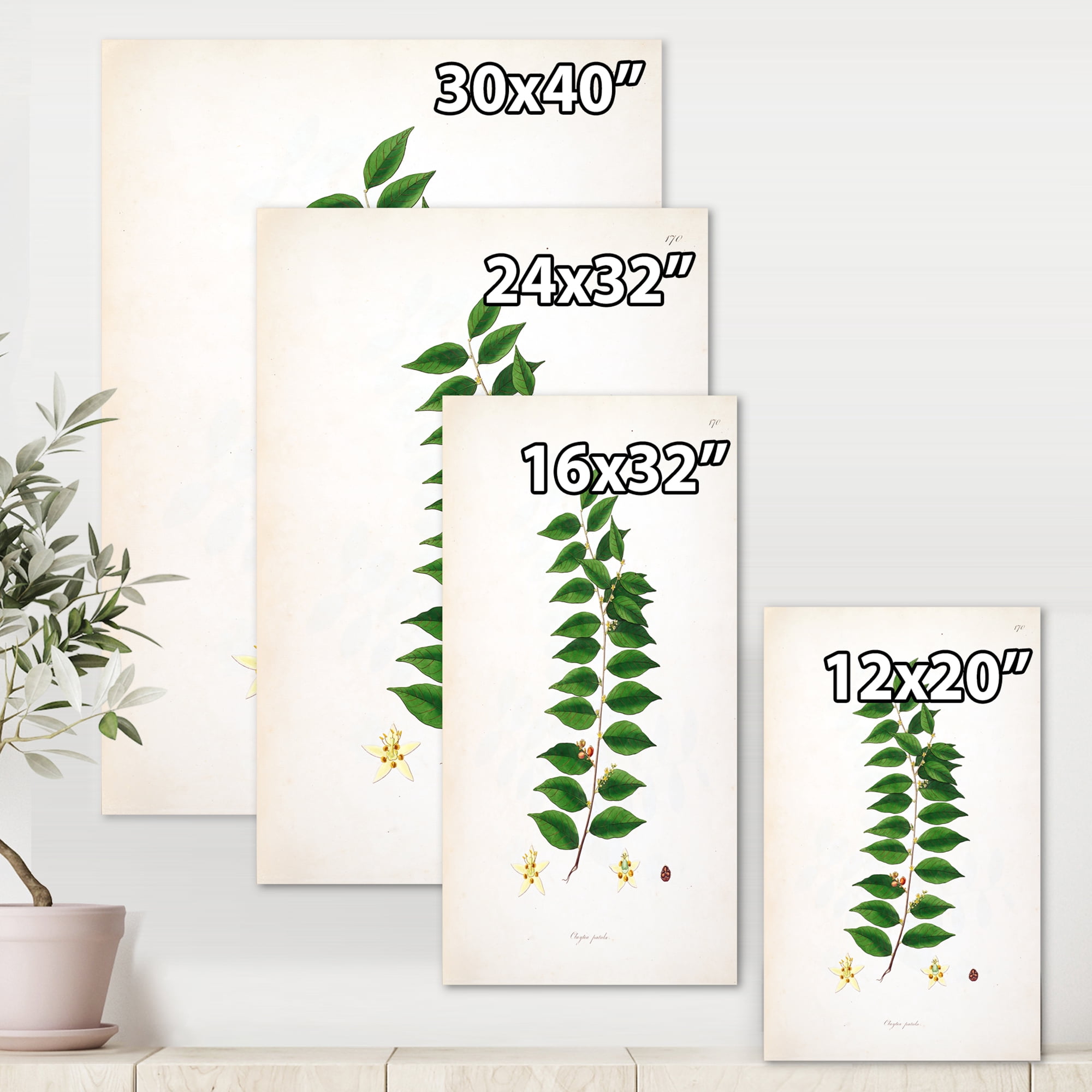 Designart ' Ancient London Plants VI ' Farmhouse Canvas Wall Art Print