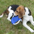 thumbnail image 3 of Jinsinto 3 Pack Pet Frisbees, Cotton Rope Frisbee, Colorful Non-Toxic Bite-Resistant Cotton Rope Frisbee for Training, Playing, Outdoor, Indoor (Random Color), 3 of 5