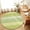 Green, variant on Round Area Rugs 5Ft, Teal Wooden Grain Non-Slip Washable Circle Rugs Carpet, Vintage Chic Geometric Ombre Turquoise Indoor Outdoor Rug Floor Mats Throw Runner for Bedroom Living Room Bathroom