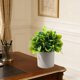 thumbnail image 4 of Plantas artificiales de bonsái en maceta para la decoración del hogar: plantas verdes artificiales de plástico para la decoración de la sala de estar, la oficina, el mueble bar, el estante o el e, 4 of 6
