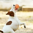 thumbnail image 4 of mfyjkho Jouet Interactif pour Chien Balle Roulante Intelligente avec Modes de Défilement et de Rebond Aléatoires, Résistant à l'Eau Ip54 pour Jeu en Extérieur, Rechargeable Type-C, Inclut 1 Balle, 4 of 9