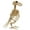 Type Q, variant on Happydeer Halloween Decoration Mini Skeleton Bone Statues Poseable Rat Dog Spider Cat Owl Skeleton Figurine for Haunted House Party Decor (Type I)