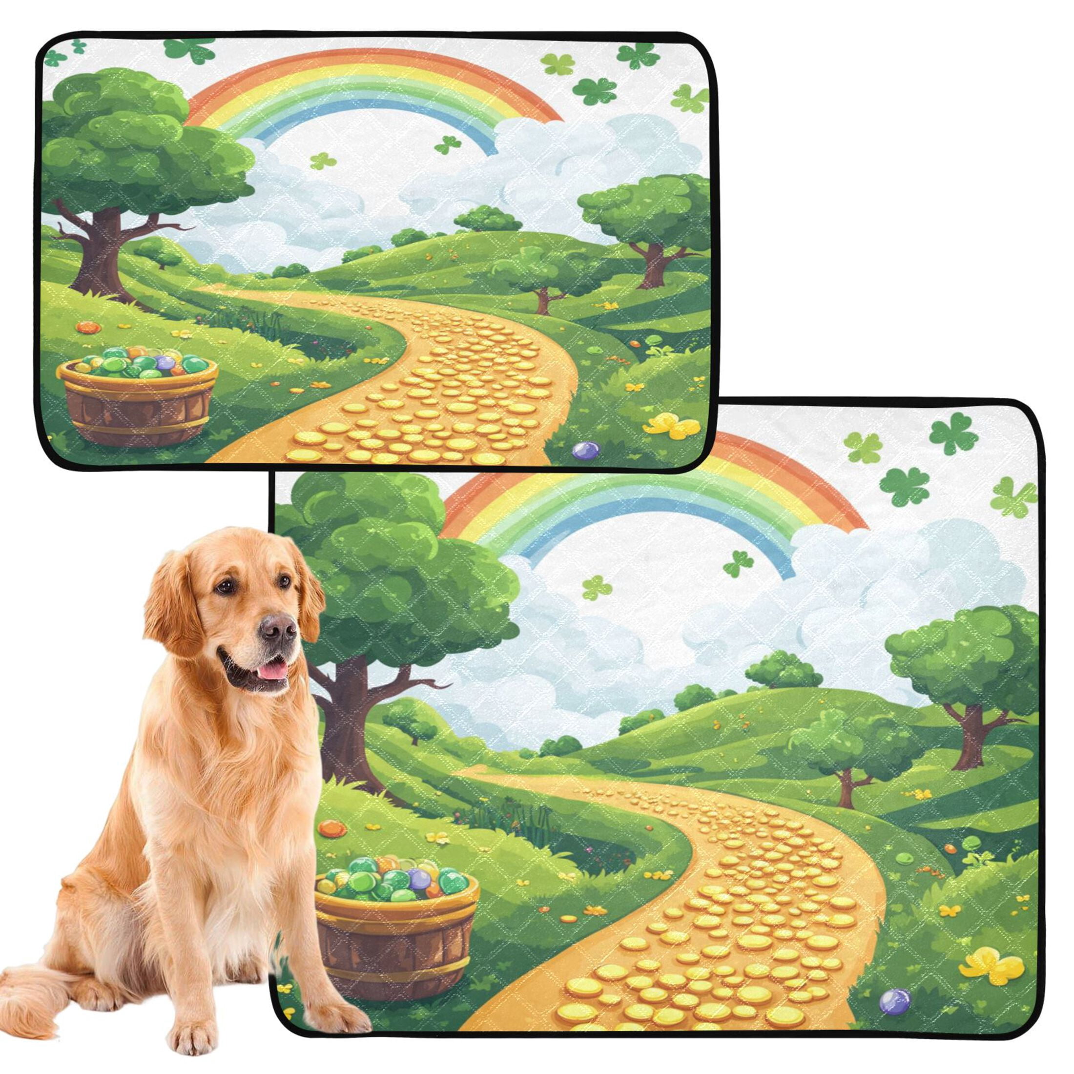 Qxltty Stpatricks Day Money Road Cat litter Pads Pet Set of 3 Diaper Mats Center Anti-leakage Layer Absorbent Soft and Comfortable