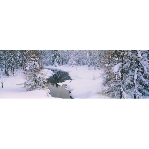 Trees at the lakeside New York State Route 28 Old Forge Adirondack Mountains New York State USA Canvas Art - Panoramic Images (36 x 12)