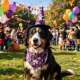 thumbnail image 5 of Aoznliie Dog Bandana, Halloween Hat & Scarf Set for Cats Small Dogs, 18x26 inch Pet Costume for Porch Geese, Purple, 5 of 7