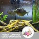 thumbnail image 4 of BESTYASH 9Ud De Coral Artificial Para Acuario Con En Color Surtido Para Decorar Peceras, 4 of 6