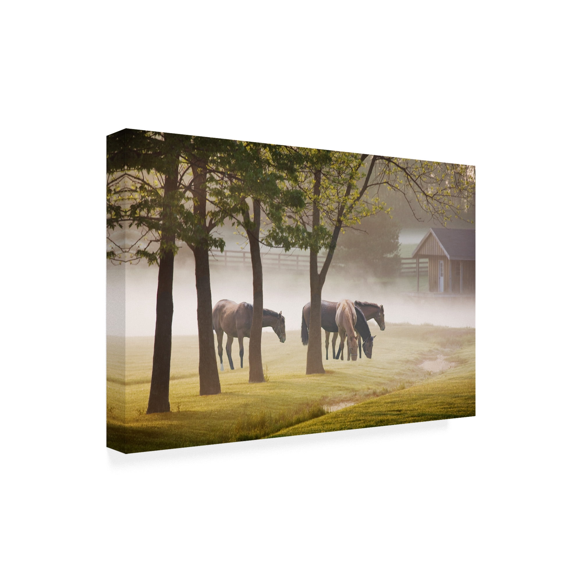Trademark Fine Art 'Horses In The Mist Kentucky Color' Canvas Art by Monte Nagler