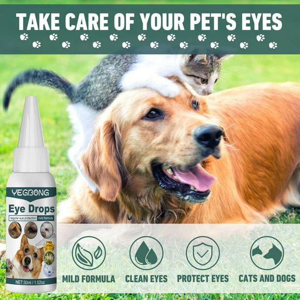 Dog eye infection drops walmart cheap