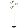 thumbnail image 2 of ORE International 65" Adjustable Cage Shade Metal Floor Lamp Black Matte, 2 of 4