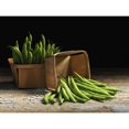 thumbnail image 2 of Green beans in baskets; Quebec, Canada Poster Print (17 x 13), 2 of 2