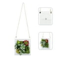 thumbnail image 3 of Frcolor Plants Hanging Succulent Wall Decor Artificial Fake Faux Plant Succulents Planter Greenery Frame Pot Pots Vines Art, 3 of 7