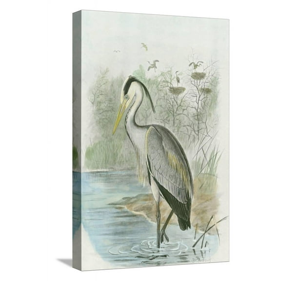 Art.com Common Heron Stretched Canvas Print Wall Art, 12" x 18"
